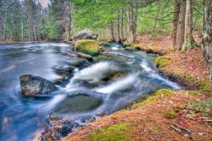 43  CW747  Bicknell Brook along the Colette Trail.jpg